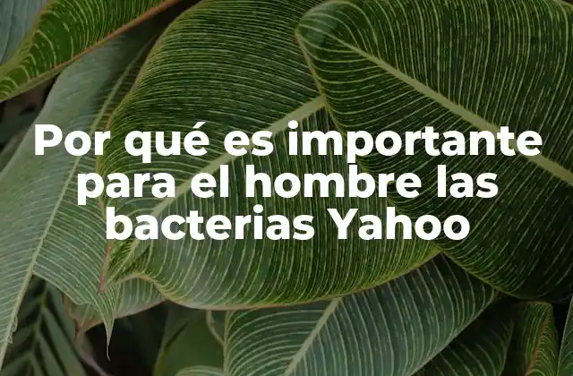 Por Qué es Importante para el Hombre las Bacterias Yahoo