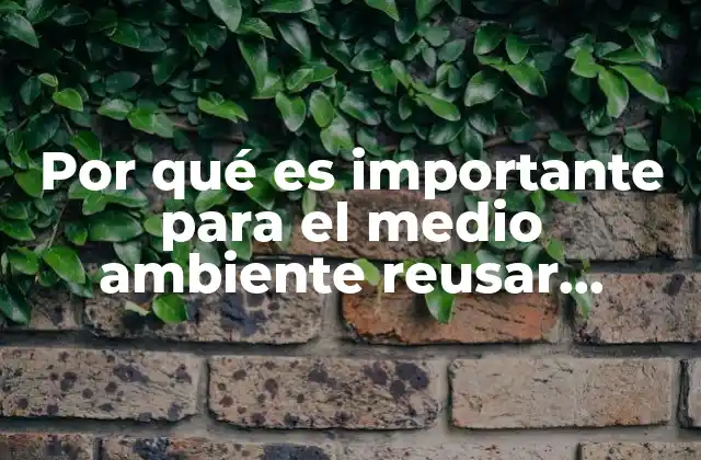 Por Qué es Importante para el Medio Ambiente Reusar Metales