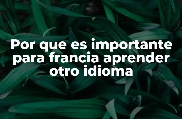 Por que es Importante para Francia Aprender Otro Idioma