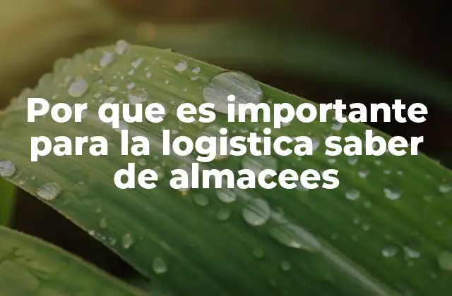 Por que es Importante para la Logistica Saber de Almacees