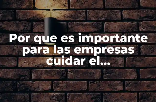 Por que es Importante para las Empresas Cuidar el Medioambiente