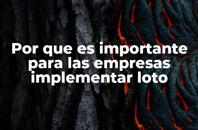 Por que es Importante para las Empresas Implementar Loto
