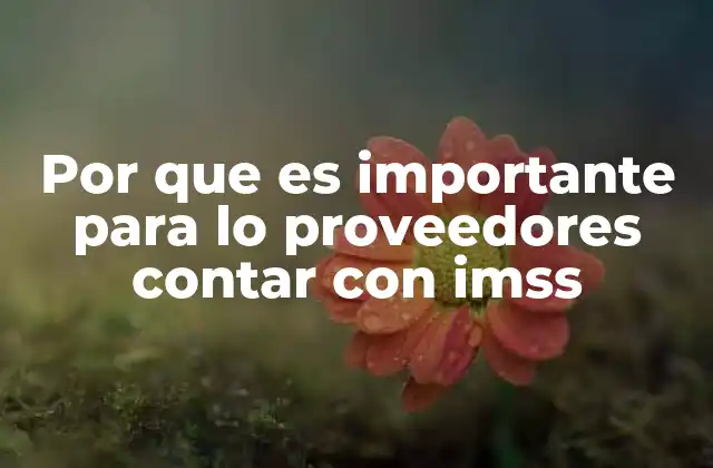 Por que es Importante para Lo Proveedores Contar con Imss