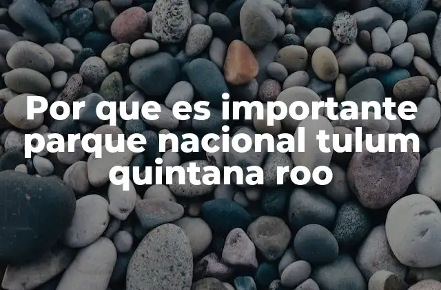 Por que es Importante Parque Nacional Tulum Quintana Roo
