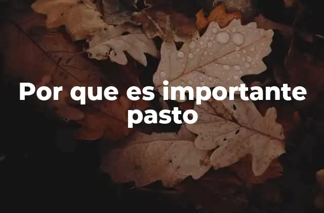 Por que es Importante Pasto