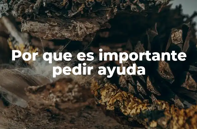 Por que es Importante Pedir Ayuda 2 La importancia de no cargar con todo uno mismo