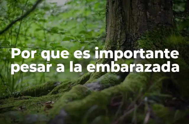 Por que es Importante Pesar a la Embarazada