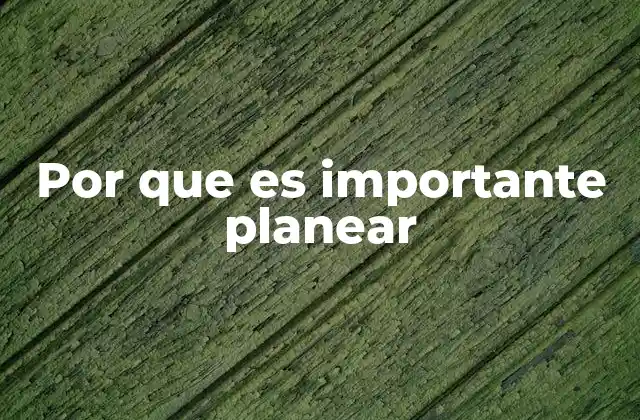 Por que es Importante Planear