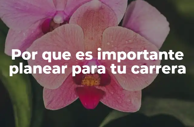 Por que es Importante Planear para Tu Carrera