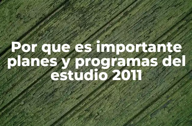 Por que es Importante Planes y Programas Del Estudio 2011
