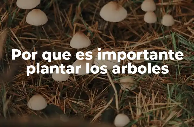 Por que es Importante Plantar los Arboles