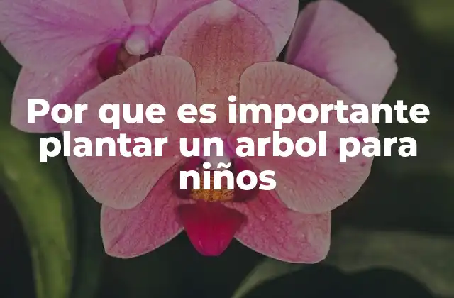Por que es Importante Plantar un Arbol para Niños
