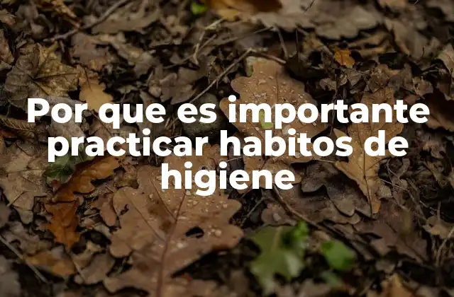Por que es Importante Practicar Habitos de Higiene