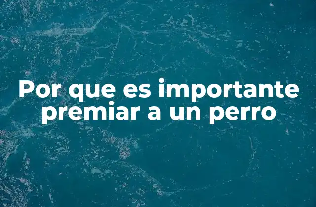 La importancia del refuerzo en el desarrollo emocional canino