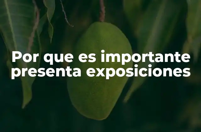 Por que es Importante Presenta Exposiciones