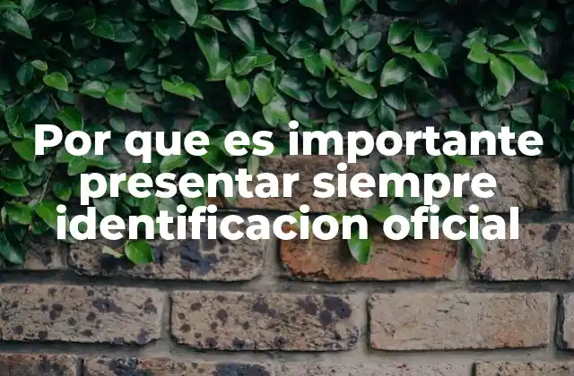 Por que es Importante Presentar Siempre Identificacion Oficial