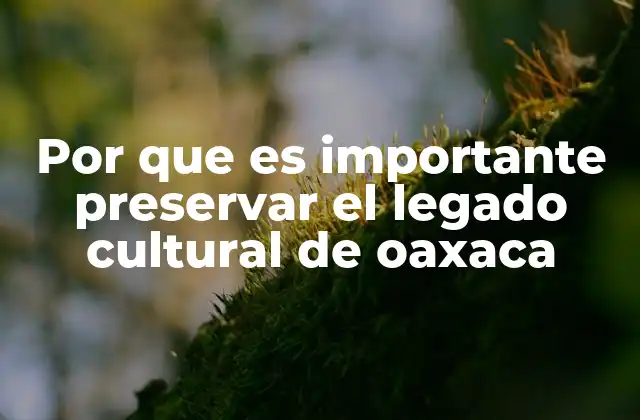 Por que es Importante Preservar el Legado Cultural de Oaxaca