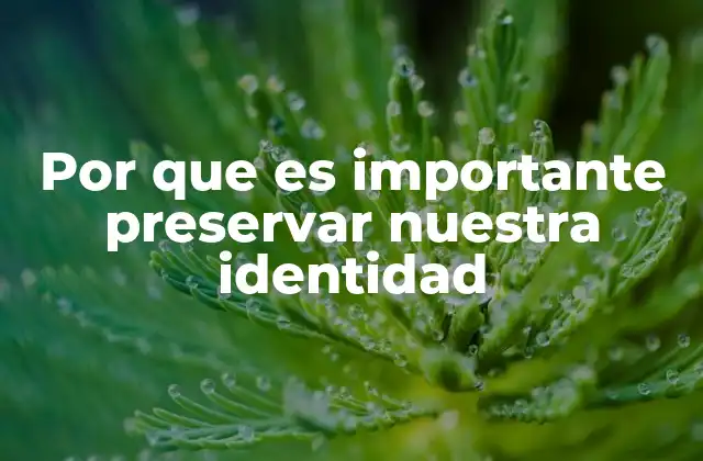 Por que es Importante Preservar Nuestra Identidad