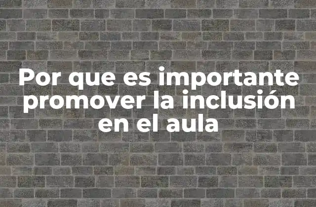 Por que es Importante Promover la Inclusión en el Aula