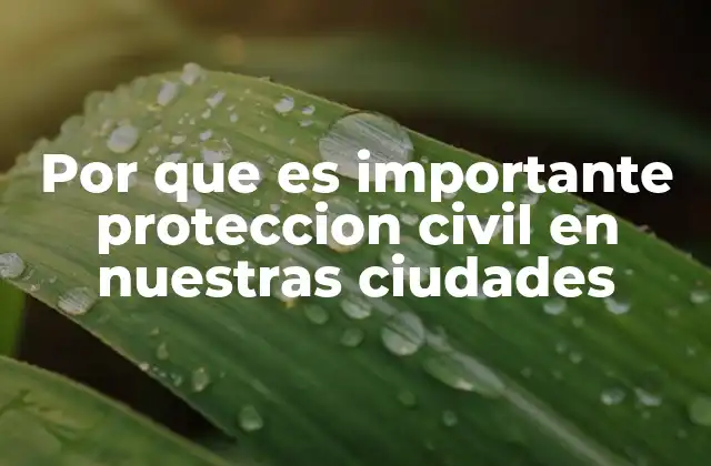 Por que es Importante Proteccion Civil en Nuestras Ciudades