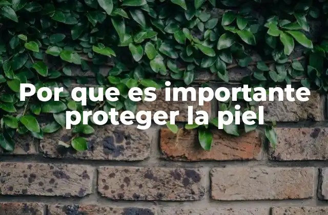 Por que es Importante Proteger la Piel