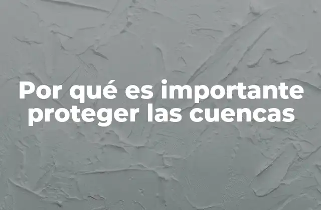 Por Qué es Importante Proteger las Cuencas