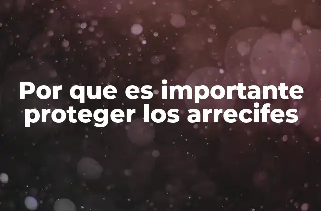Por que es Importante Proteger los Arrecifes
