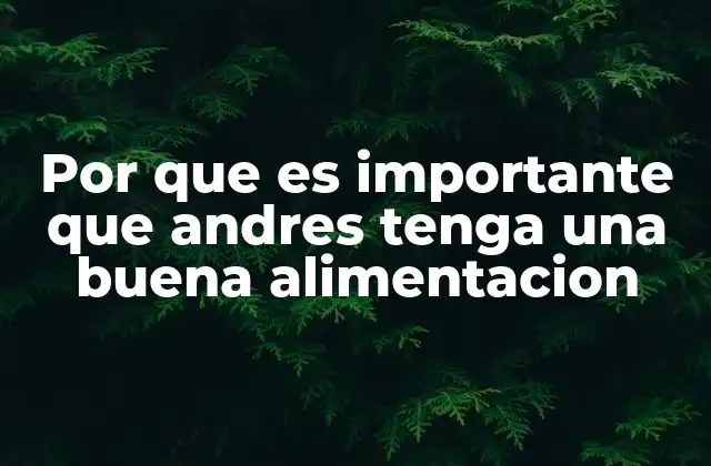 Por que es Importante que Andres Tenga una Buena Alimentacion