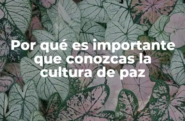 Por Qué es Importante que Conozcas la Cultura de Paz