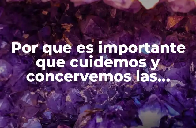 Por que es Importante que Cuidemos y Concervemos las Plantas