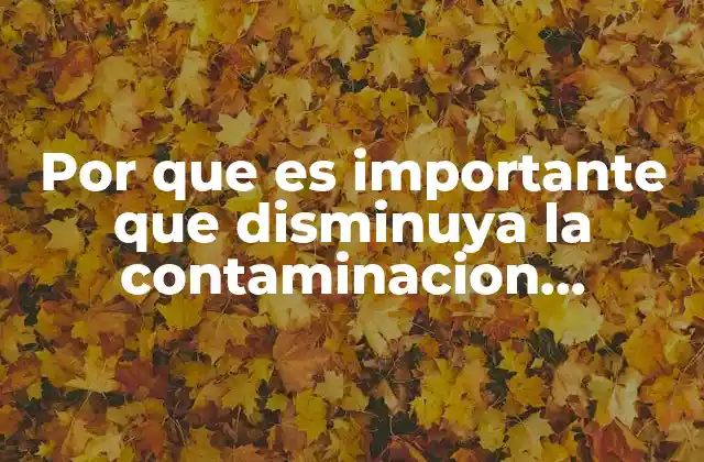 Por que es Importante que Disminuya la Contaminacion Ambiental