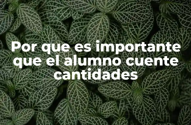 Por que es Importante que el Alumno Cuente Cantidades