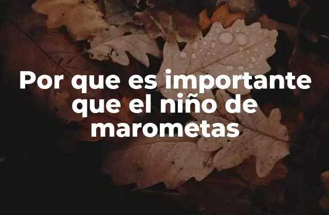 Por que es Importante que el Niño de Marometas