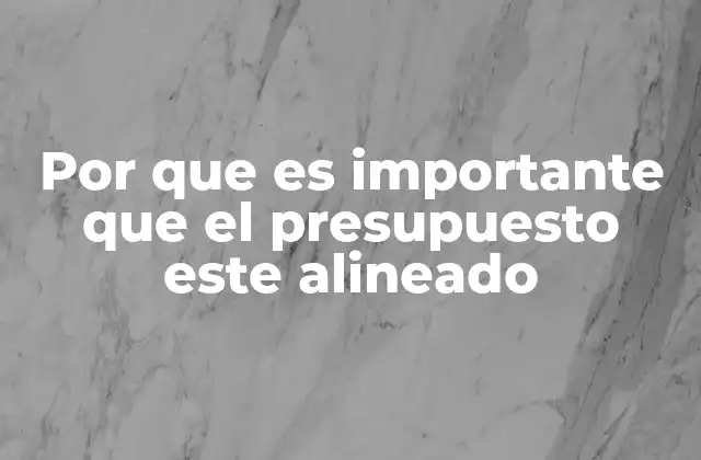 Por que es Importante que el Presupuesto Este Alineado
