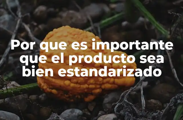 Por que es Importante que el Producto Sea Bien Estandarizado