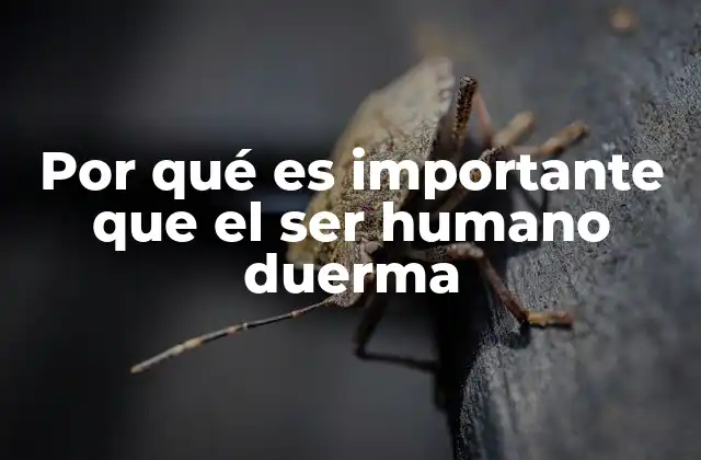 El sueño como mecanismo de supervivencia