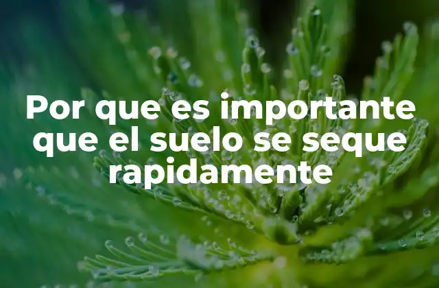 Factores que influyen en la velocidad de secado del suelo