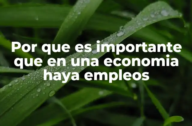 Por que es Importante que en una Economia Haya Empleos