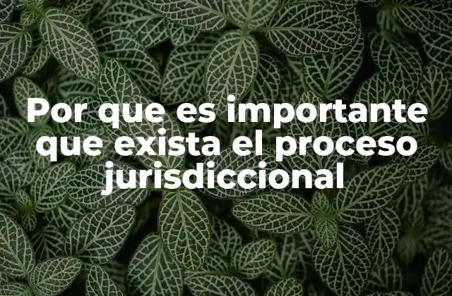 Por que es Importante que Exista el Proceso Jurisdiccional
