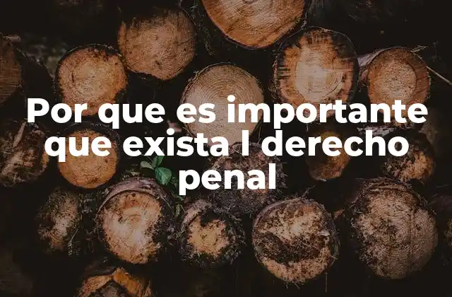 Por que es Importante que Exista L Derecho Penal