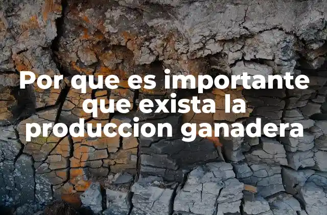 Por que es Importante que Exista la Produccion Ganadera