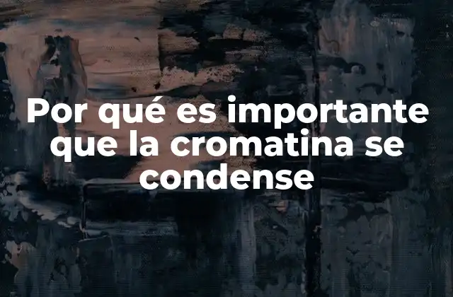 Por Qué es Importante que la Cromatina Se Condense