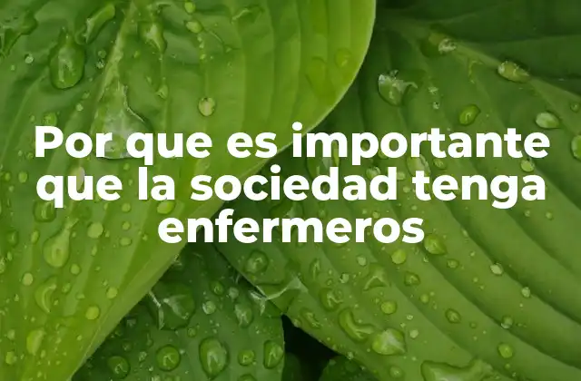 Por que es Importante que la Sociedad Tenga Enfermeros