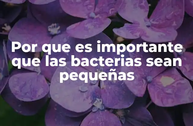 Por que es Importante que las Bacterias Sean Pequeñas