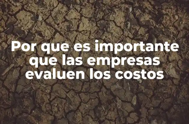 Por que es Importante que las Empresas Evaluen los Costos