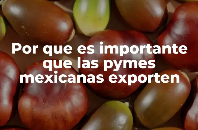 Por que es Importante que las Pymes Mexicanas Exporten
