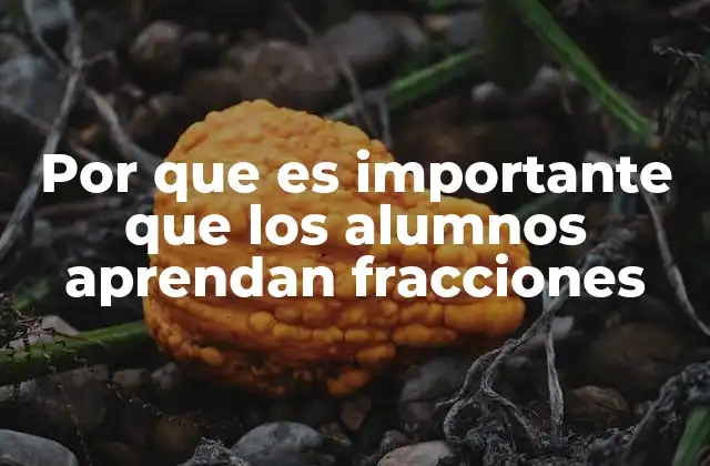 Por que es Importante que los Alumnos Aprendan Fracciones