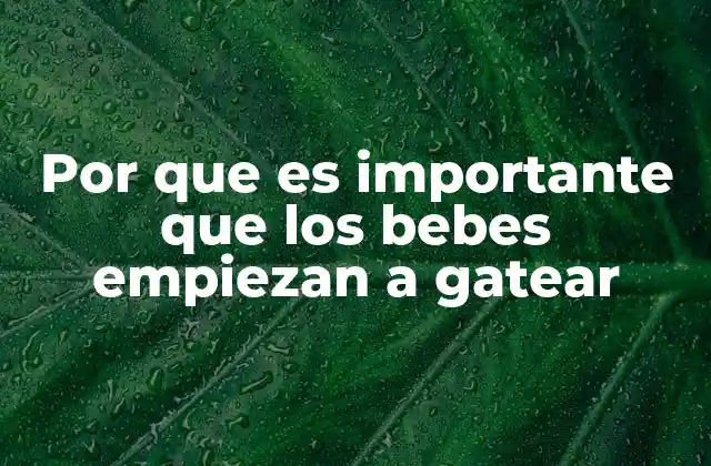 Por que es Importante que los Bebes Empiezan a Gatear
