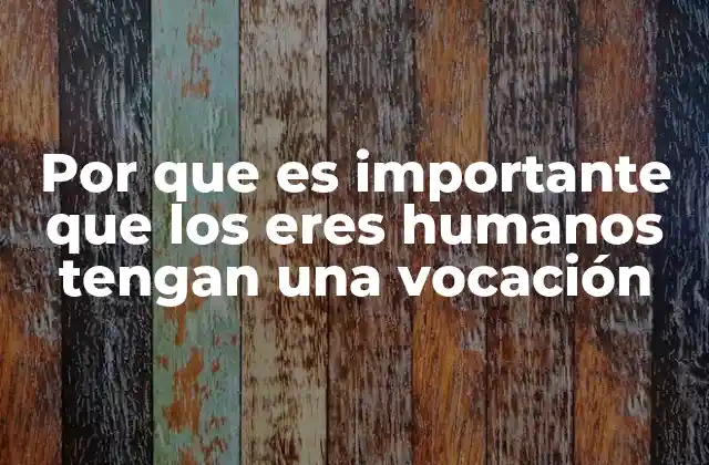 Por que es Importante que los Eres Humanos Tengan una Vocación