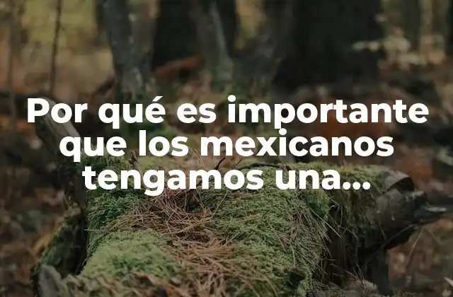 Por Qué es Importante que los Mexicanos Tengamos una Constitución